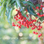 無題 – 2023年1月11日 11.58